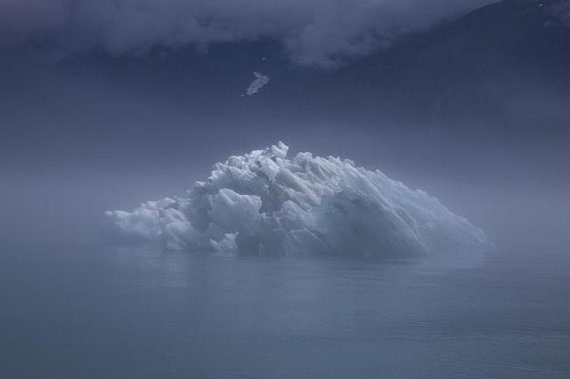 033 Tracy Arm.jpg